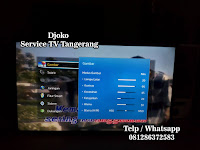 service tv delatinos