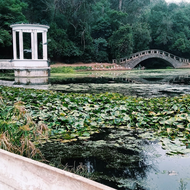 Jardín Botánico Viña del Mar