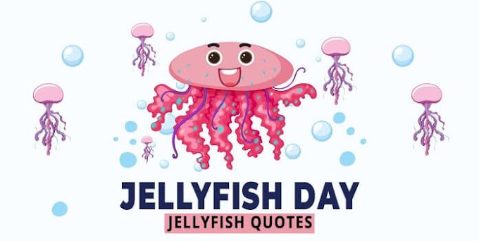 Jellyfish Day Messages, Greetings, Jellyfish Quotes