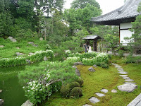 緑の庭に真っ白な葉が映えて初夏を呼ぶ涼やかな情景である