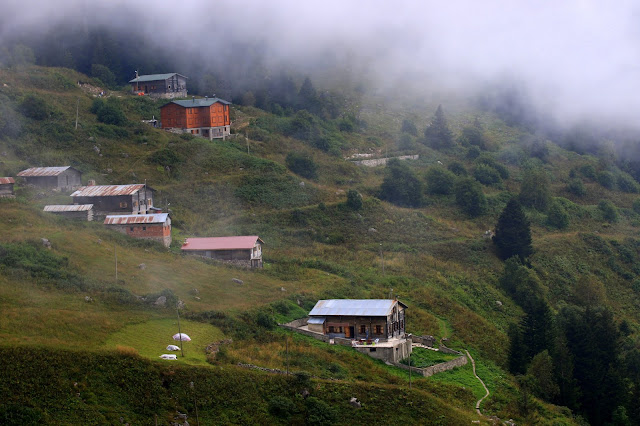 Doğu Karadeniz, Yayla, Gito Yaylası, Pokut Yaylası, elevit yaylası