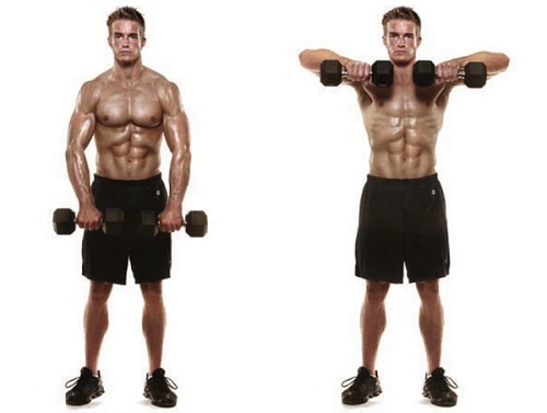Two Arm Dumbbell Upright Row