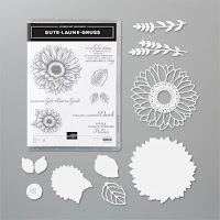 https://www.stampinup.de/products/produktpaket-gute-laune-gruss-(deutsch)?demoid=5038471