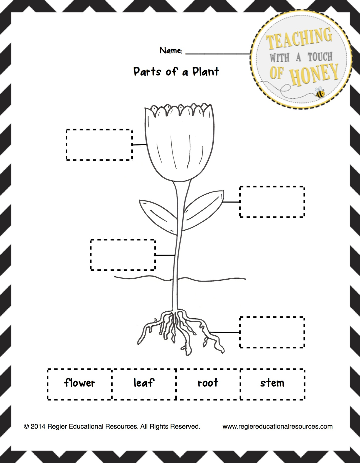 science worksheets grade 2 plants science worksheets 2