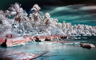 Beautiful-Infrared-Photography