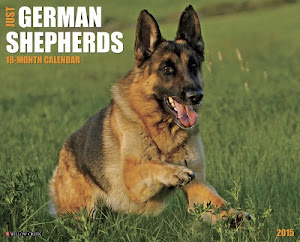 Just German Shepherds 2015 Wall Calendar