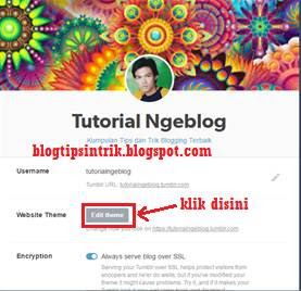 Cara Mendaftar Memasang Kode Tracking Google Analytics Pada Tumblr Blog