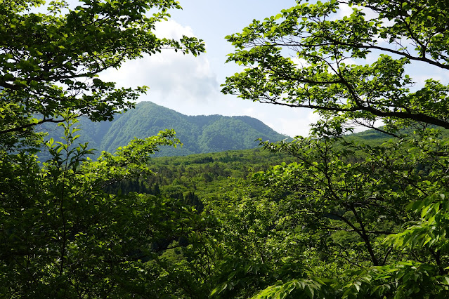 鳥取県西伯郡大山町豊房　香取の山道からの眺め