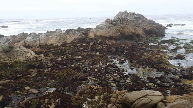 Day 13 - Pacific Coast Highway