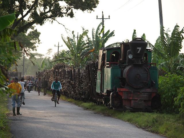 Small Steam Locomotive at Sumberharjo