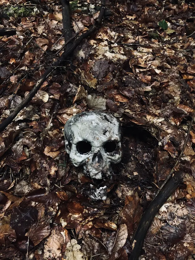 Skull, Pfälzerwald, 2021