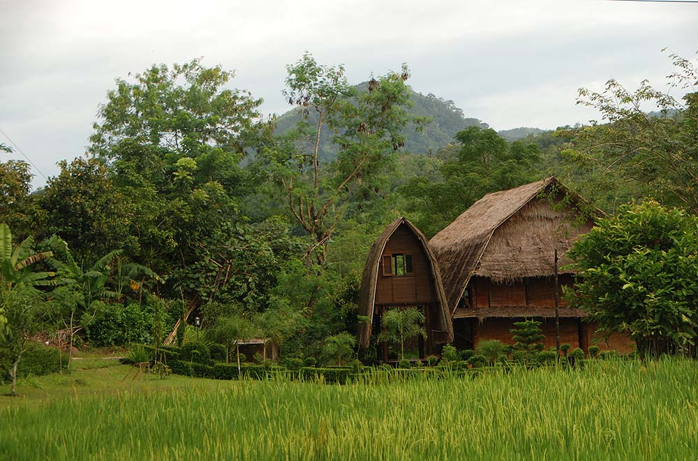 Nisura Olah foto digital Rumah  Kayu  dan Ladang Padi
