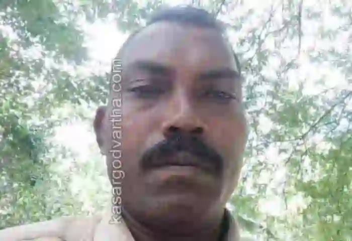 Malayalam-News,  Found Dead News, Obituary-News, Chithari News, Kerala News, Malayalam News, Employee of electricity office found dead.