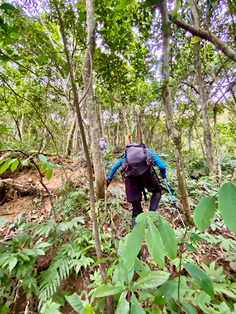 往大坪林山