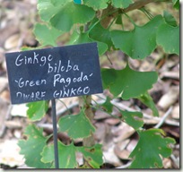 green pagoda