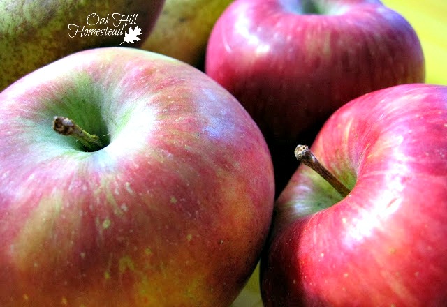 Three ripe red apples