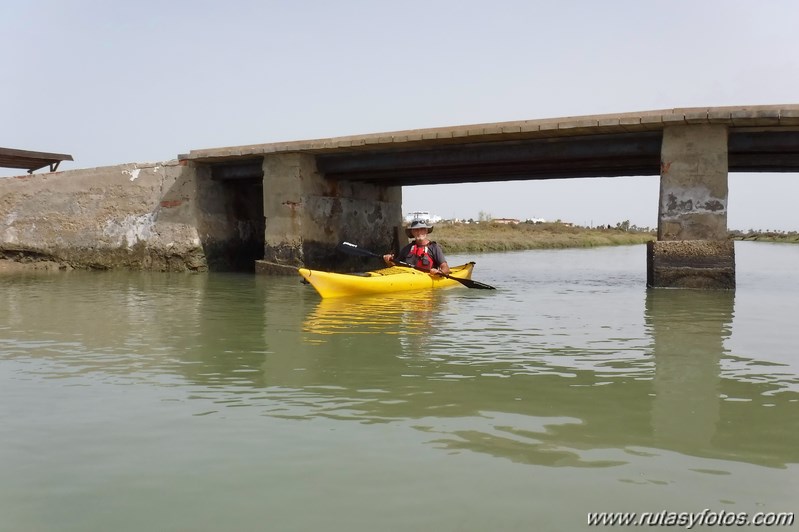 La Magdalena - Caño del Carrascón - Gallineras - Caño de Sancti Petri