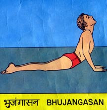 BHUJANG ASANA (SNAKE POSE)