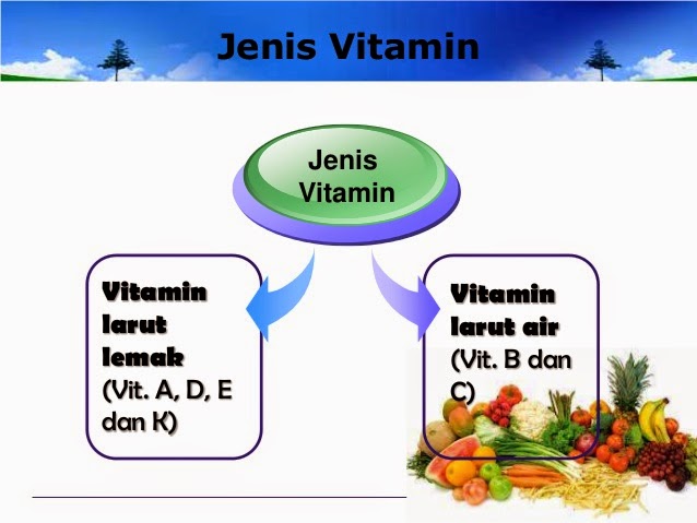 ILHAMKU HANNAH VITAHOUSE JENIS JENIS VITAMIN 