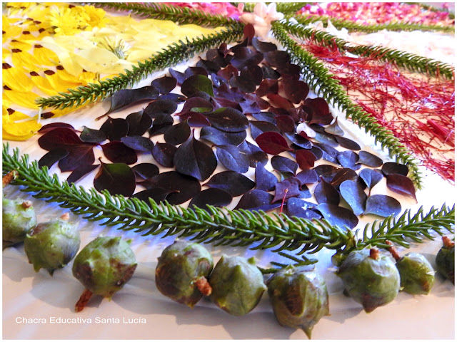 Mandala de hojas, semillas y pétalos de flores - Chacra Educativa Santa Lucía