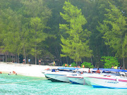 . far, far away because I do not want to create a controversy later with . (bamboo island)