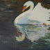 Swan Oil Painting, Daily Painting, "Swan Reflections" by Carol Schiff,
16x20x.75 Oil SOLD
