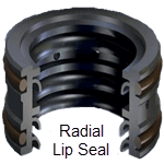 Radial Lip Seal