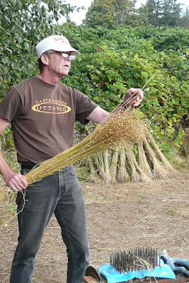 Rippling flax to remove the seeds