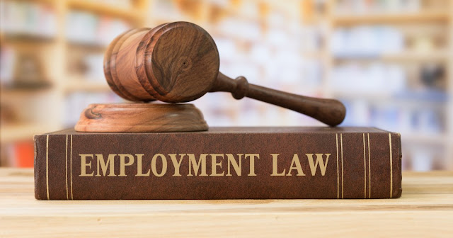 specialized employment lawyer Auckland