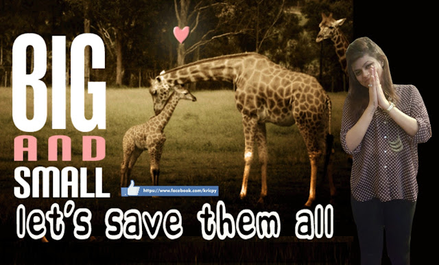 Kricpy - Save Giraffe