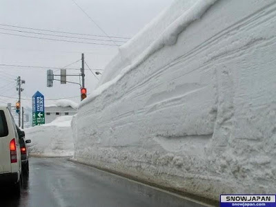 These Folks Are More Than Snowed Under Seen On www.coolpicturegallery.net