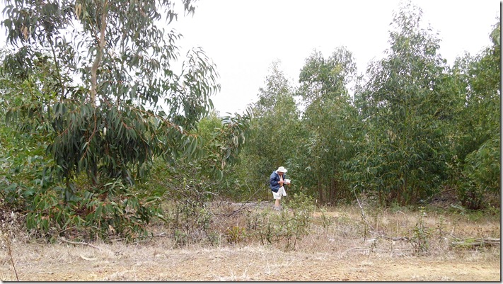 Algoz 23-10-2011 012 b
