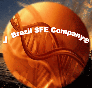 ✔ Brazil SFE Company®