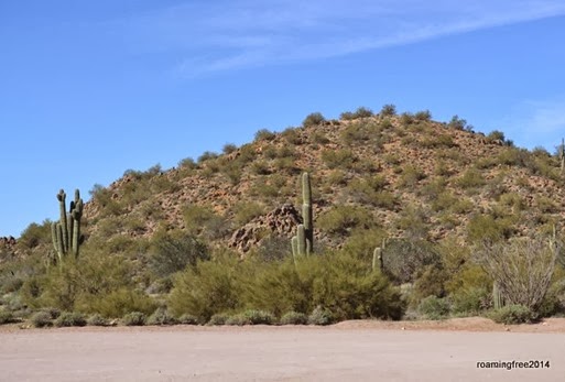 Vista Trail
