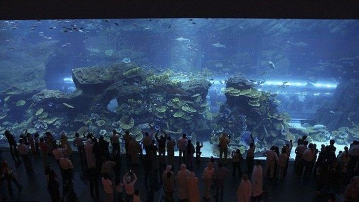 Giant Aquarium in Dubai Mall