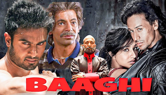 Baaghi Super Hit Full Movie IN 4K 