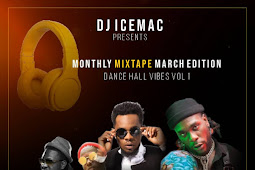 [Mixtape] DJ Icemac – Dance Hall Vibes » IbomHitJamz Mixtape 