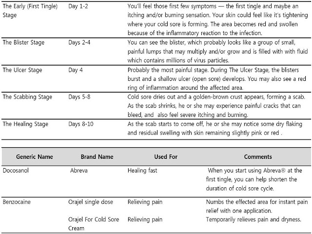 Cold Sore Beginning Signs : Chinese Medicines Guide