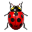 Bug Insect Favicon