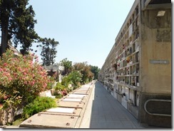 DSCN1140
