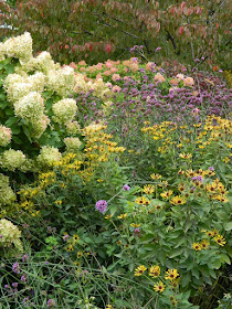 Toronto Botanical Garden Perennial Border Fall Colours by garden muses--not another Toronto gardening blog