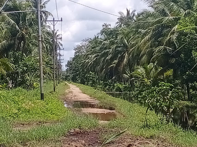 Warga 5 RT di Dusun Pemangkat Jaya Ngeluh Jalan Rusak Bertahun Tahun. Harapkan Pemda Bangun