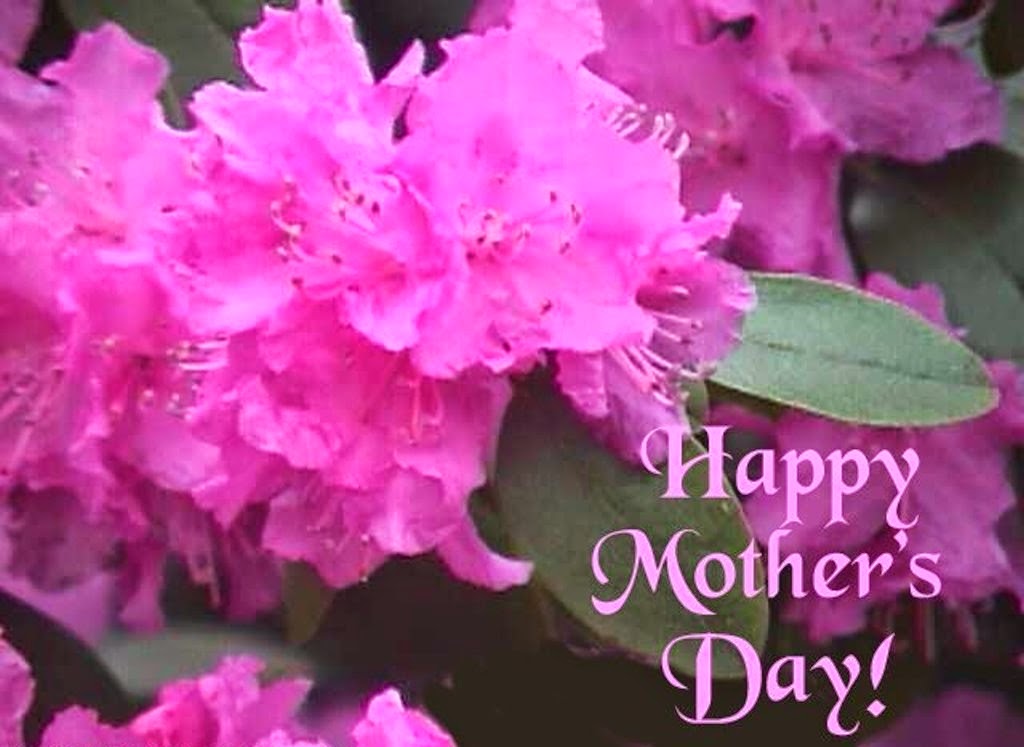 Chaska Gallery Mother S Day High Resolution Wallpapers Hd Pictures Images, Photos, Reviews