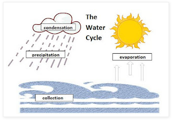 Water weather for worksheet Grades  Kids the and K  Cycle Oceans Learning Ideas terms  8: