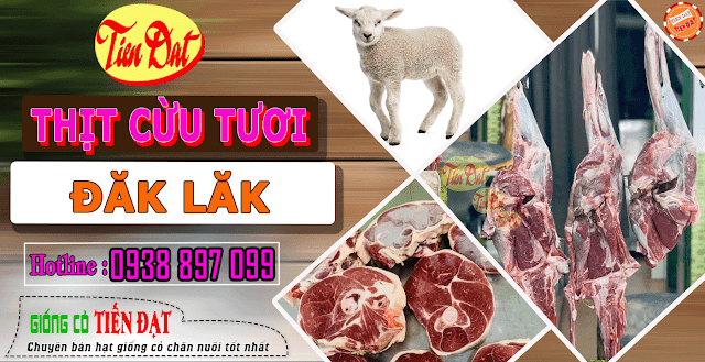 Địa chỉ bán thịt cừu tươi tại Đăk Lăk giá tốt uy tín chất lượng