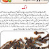 Clove Benefits For Health Tips In Urdu