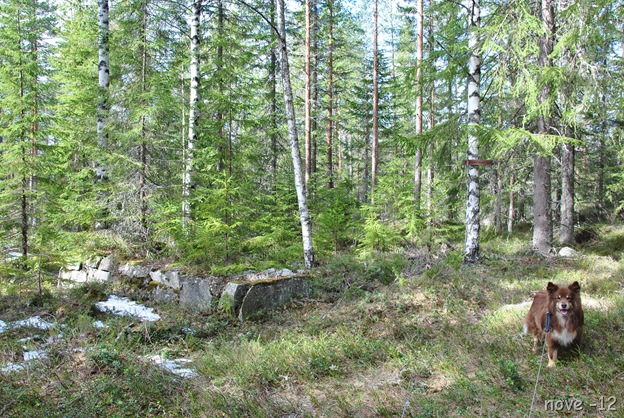 Evjuvegen 010