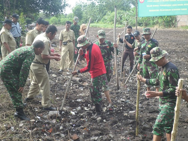 KORAMIL 06/KARTASURA TANAM JAGUNG DI LAHAN TIDUR SELUAS 1 HA