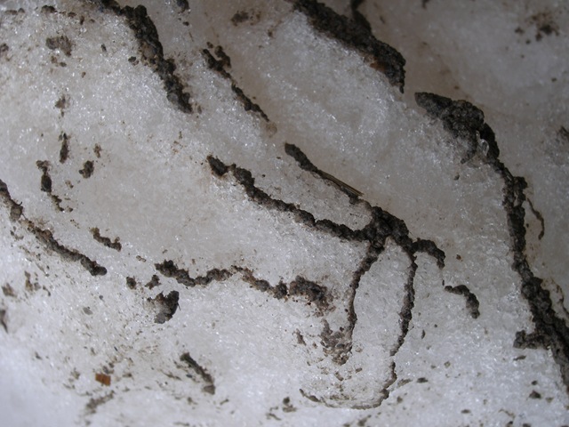 Jan2009 138
