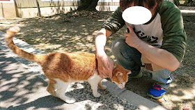 大阪 猫神社 上宮天満宮 天神桃太郎